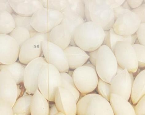 神農(nóng)生態(tài)食品