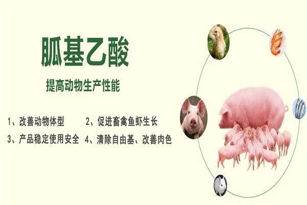 希友飼料