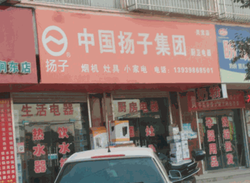中國揚子集團