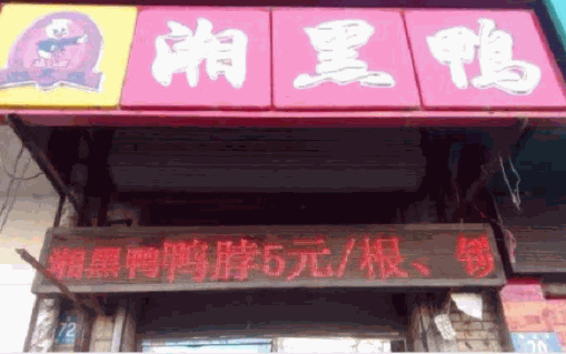 湘黑鴨