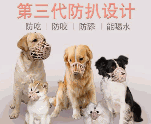 德犬智能家用安全裝備