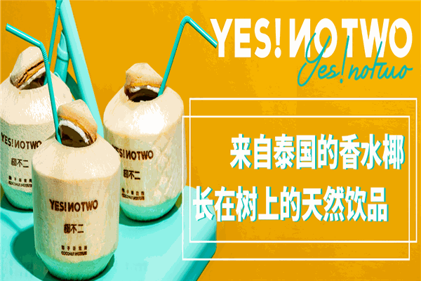 椰不二