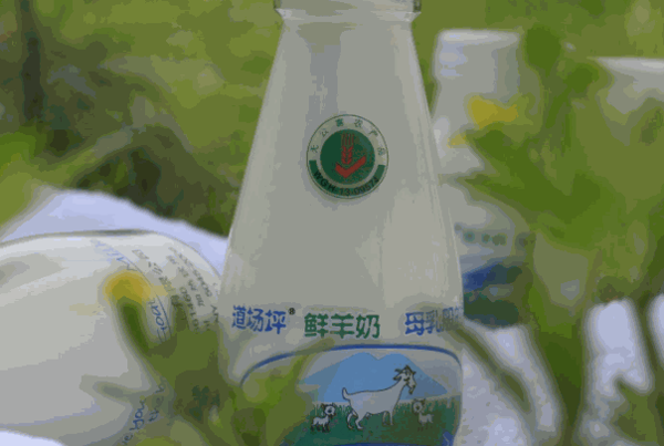 道場(chǎng)坪鮮羊奶