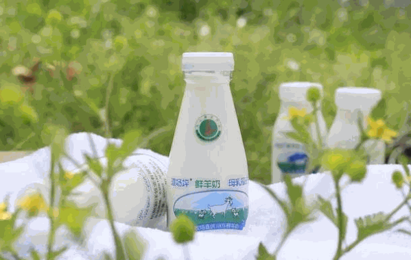 道場(chǎng)坪鮮羊奶