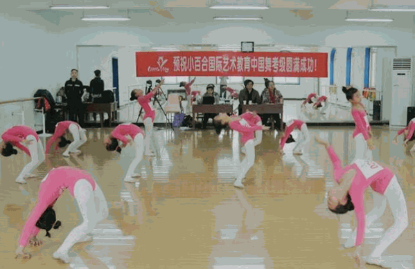 小百合國際藝術(shù)教育