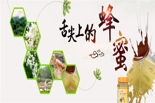金王蜂王漿