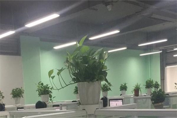 第一網(wǎng)校