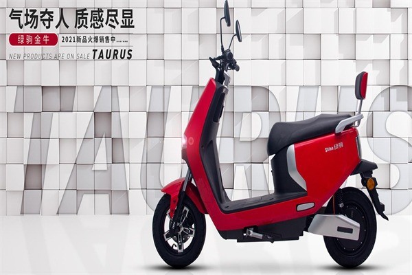 綠駒電動(dòng)車