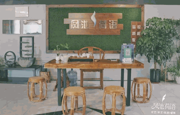 鳳池荷語職業(yè)培訓(xùn)