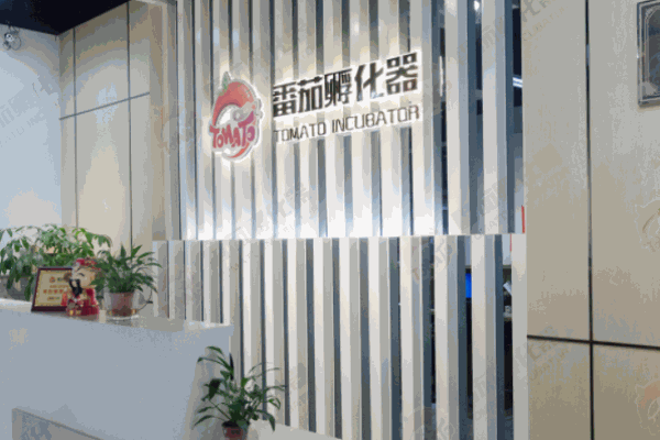 番茄孵化器