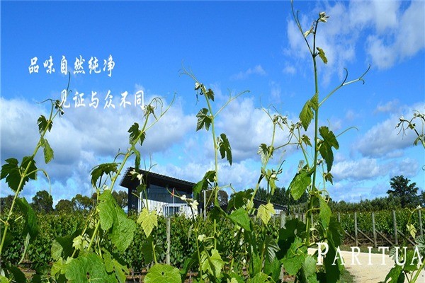 柏瑞圖國際酒