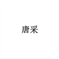 唐采油漆加盟
