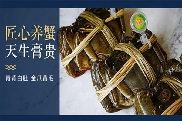 蟹之霸大閘蟹
