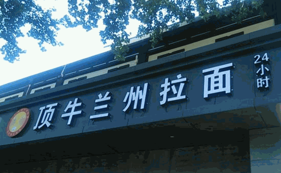 頂牛蘭州拉面