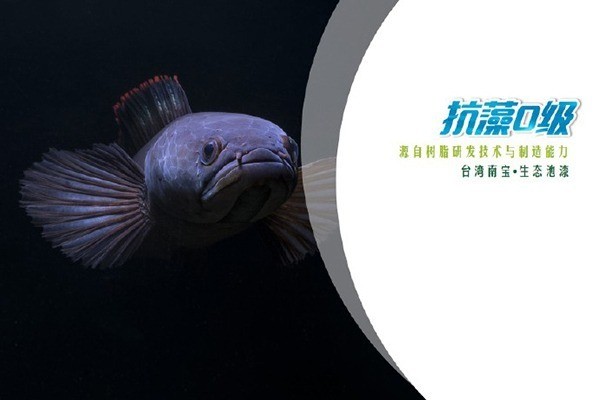 臺(tái)灣南寶清水槽漆加盟