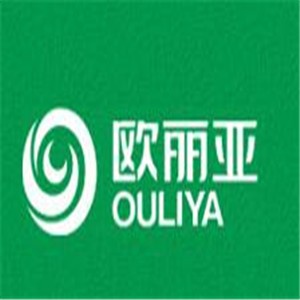 歐麗亞硅藻泥加盟
