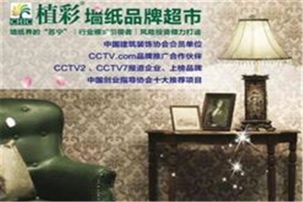 植彩墻藝加盟