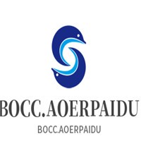BOCC.AOERPAIDU男裝加盟
