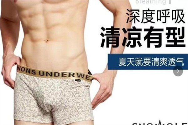 雪飛狼男士?jī)?nèi)衣加盟