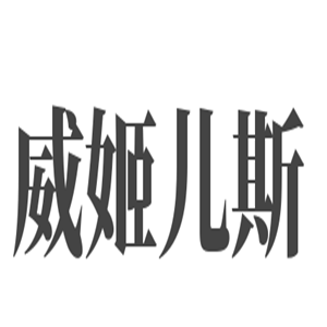 威姬兒斯女裝加盟