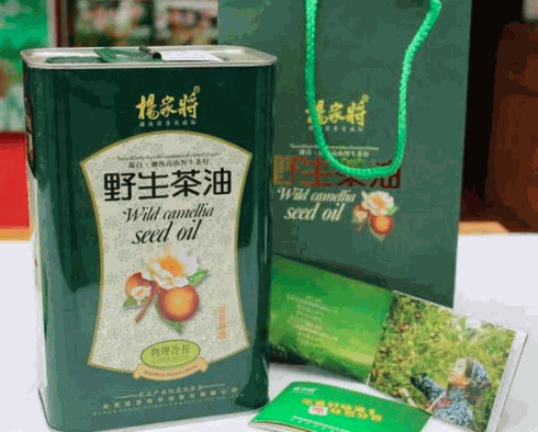 楊家將