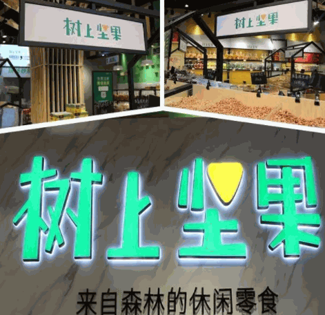 樹上堅果