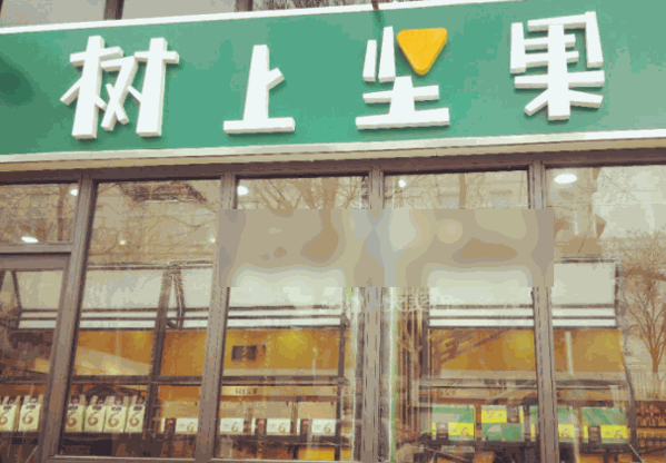 樹上堅果