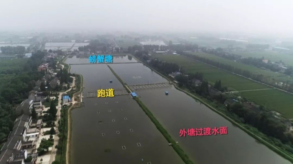 華中鑫農(nóng)螃蟹養(yǎng)殖