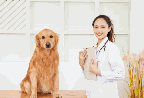 我寵我愛(ài)