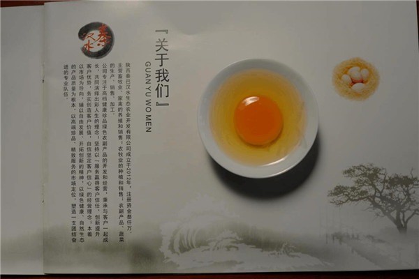 南郡金桂加盟