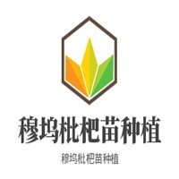 穆塢枇杷苗種植加盟