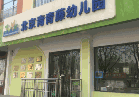 青青藤教育