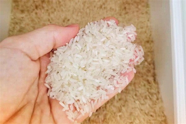 御品香米坊加盟