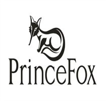 PLAYFOX男裝加盟