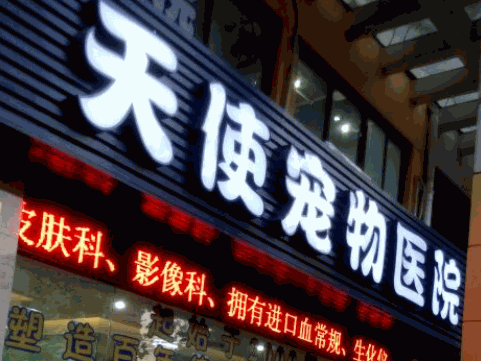 天使寵物診所