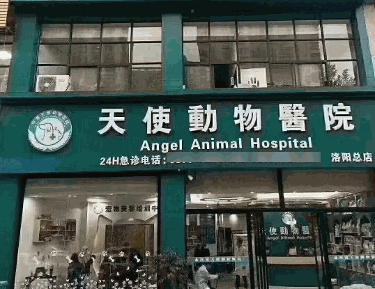 天使寵物診所