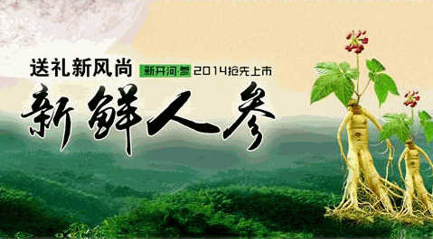 康老大人參