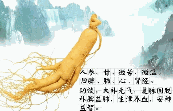康老大人參