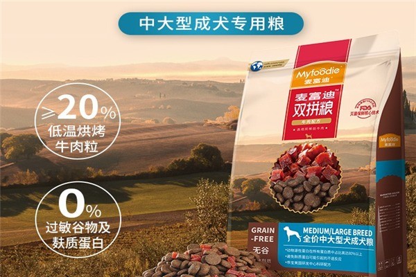 麥富迪