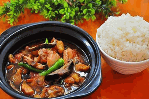 十七味黃燜雞米飯