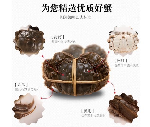 九百畝大閘蟹