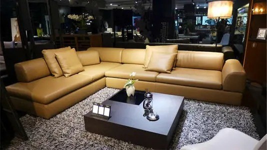 德國牛蛙家具