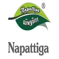 泰國(guó)Napattiga乳膠枕加盟