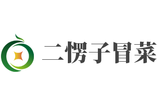 二愣子冒菜加盟