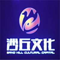 上文沙丘金融加盟