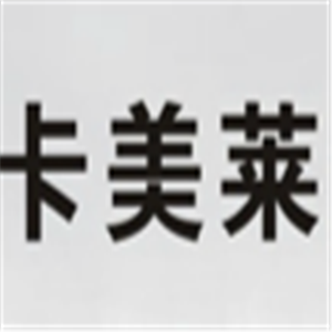卡美萊汽車(chē)技術(shù)培訓(xùn)中心加盟
