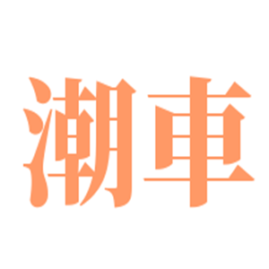 潮車(chē)汽車(chē)用品加盟