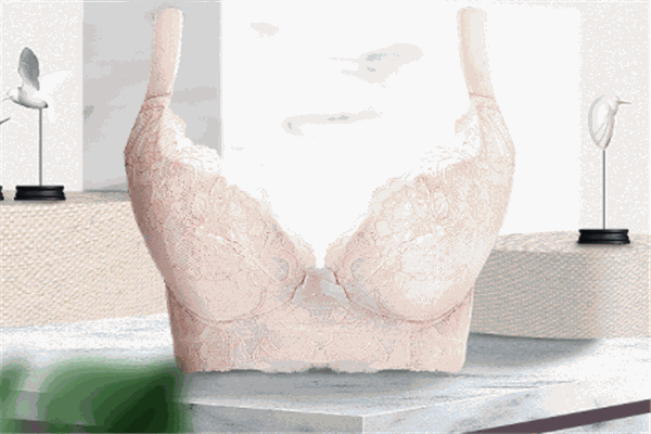 完美女人內(nèi)衣加盟