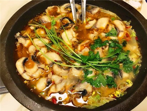 小楊特色石鍋魚(yú)