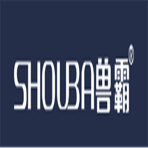 獸霸男鞋加盟